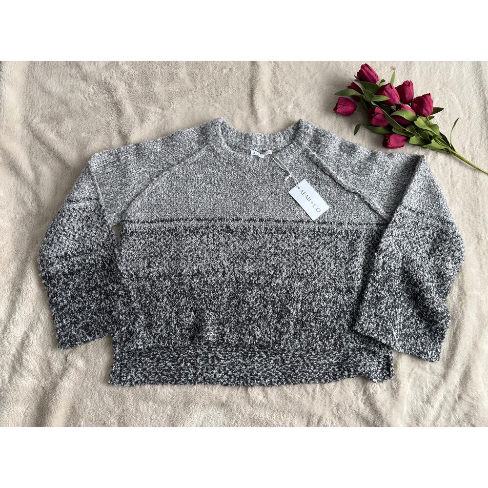 Aemi & Co Marled Cropped Sweater Size Large